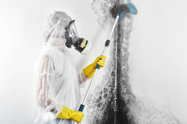 Best Biohazard Mold Removal  in Jackson, GA