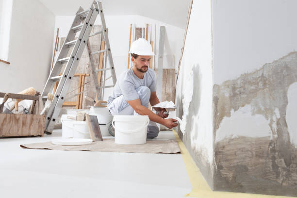 Best Mold Odor Removal Services  in Jackson, GA